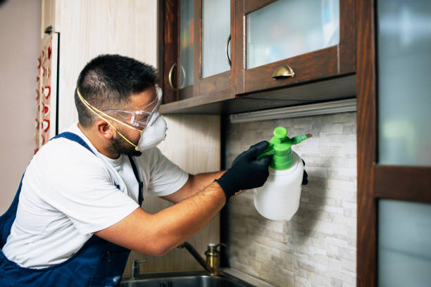 Best Residential Pest Control  in Huntgton, IN