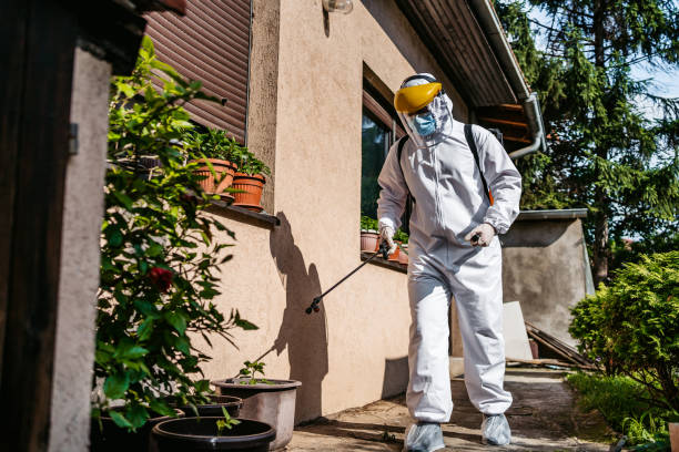Best Termite Control Services  in Huntgton, IN