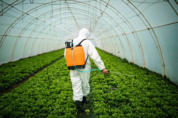 Best Mosquito Control Services  in Huntgton, IN