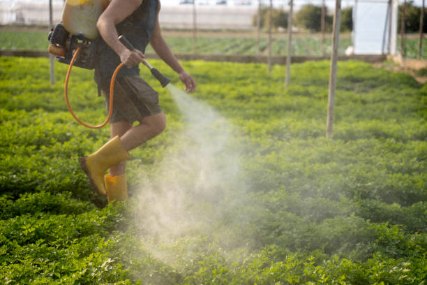Best Residential Pest Control  in Huntgton, IN