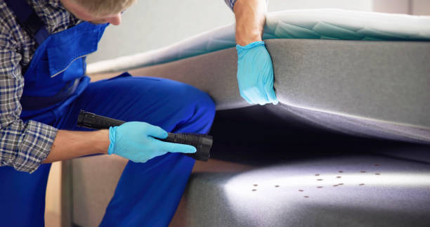 Flea Control Services in Huntington, IN