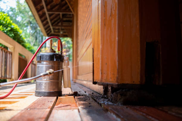 Best Pest Removal Services  in Huntgton, IN