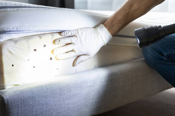 Best Cockroach Control Services  in Huntgton, IN