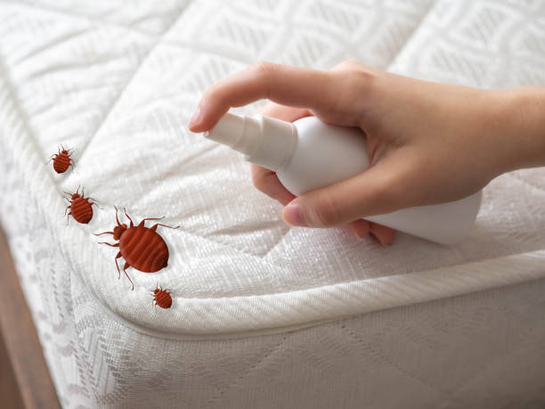 Professional Pest Control in Huntington, IN