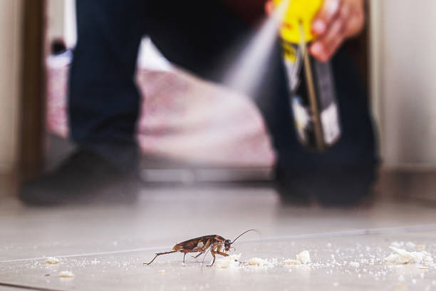 Pest Prevention Services in Huntington, IN