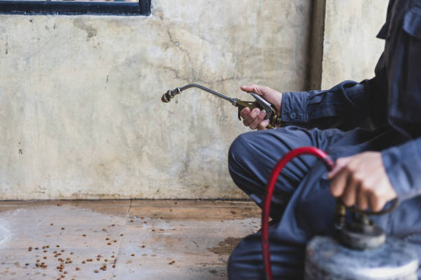 Best Termite Control Services  in Huntgton, IN